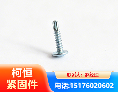 江门华司钻尾丝
